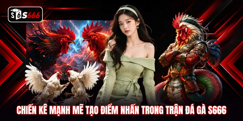 Chiến kê mạnh mẽ tạo điểm nhấn trong trận đá gà S666